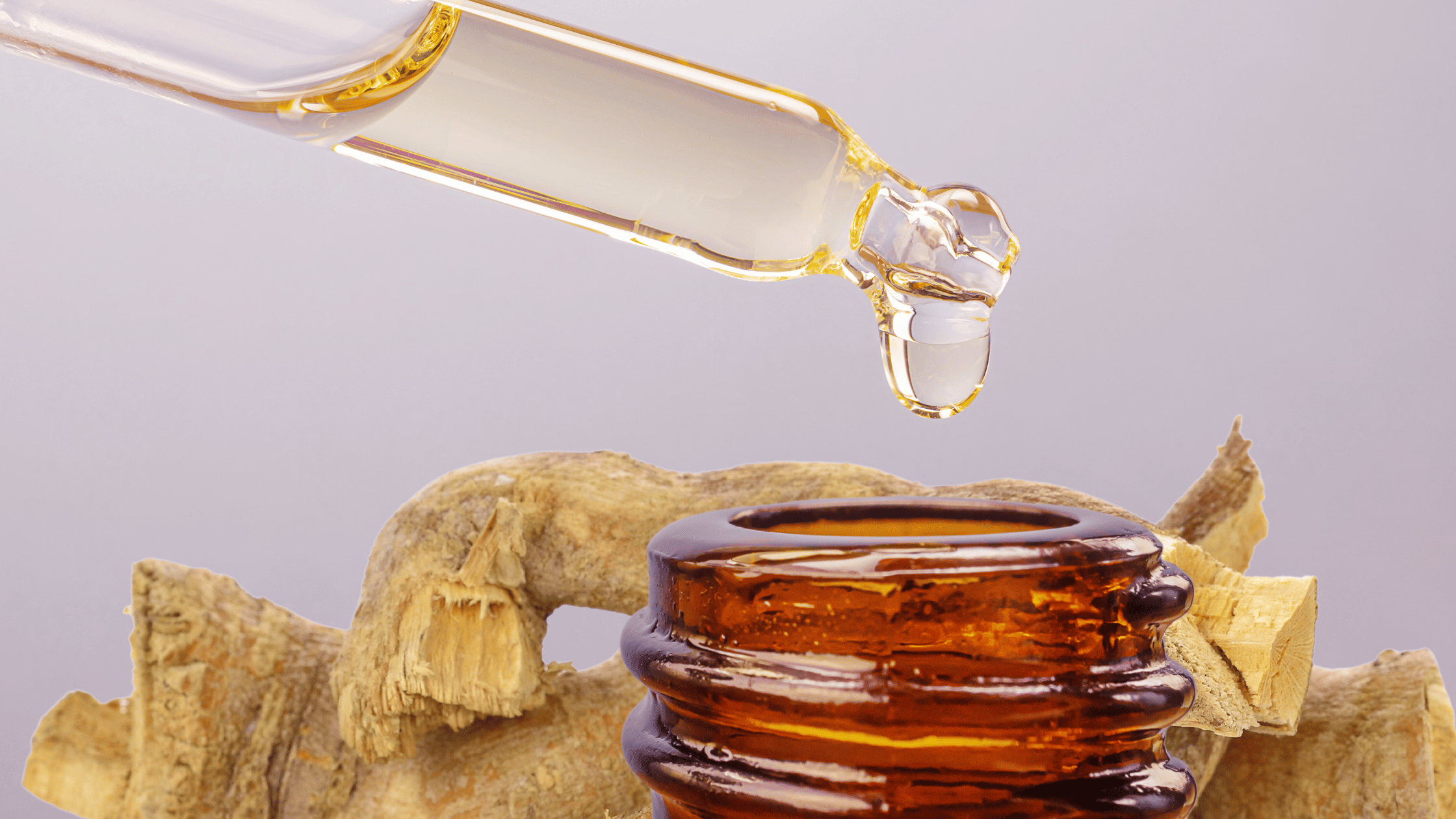 Tongkat Ali Root vs Extract Which is Better tongkat.co